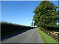 Country road near The Limes