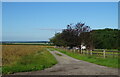 Track towards Old Corner Moor Plantation