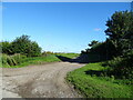 Track to Cottage Farm near Edlington