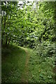 Footpath, Rogley Wood