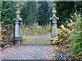 Golden Gates at Benmore Botanic Gardens