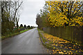 Fallen leaves along Altamuskin Road