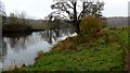 Tranquil Clyde by Overton Farm