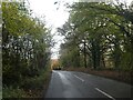 ST0916 : Woodland on Maiden Down and B3391 by David Smith