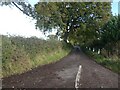 Road eastwards from Tithe Barn Cross