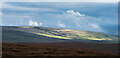 NY8733 : Grassy moorland at summit of Fendrith Hill by Trevor Littlewood