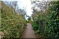 Brixham : Footpath