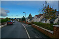 Brixham : Douglas Avenue