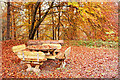 Table by the Woodland Cabin, Evanton Community Wood