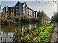 Coventry Canal at Great Heath, Coventry