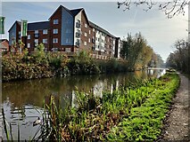 SP3380 : Coventry Canal at Great Heath, Coventry by Mat Fascione