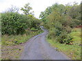 Tree enclosed minor road heading towards Balindore