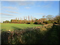 Bridleway and Orchard House, Stragglethorpe