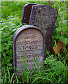 Hornsey Parish boundary marker no. 435 (1887)