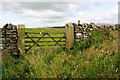 Gateway across path through fields to Haugh Field Farm