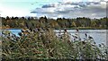 View SE over the lake in Riverside Park Nature Reserve