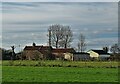 Mill Top Farm near Belton