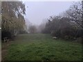 TF0820 : Garden in the fog by Bob Harvey