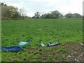 Farmland north of Crossways Farm