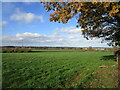 Grass field and Dean Hall Farm