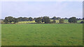 Pastoral scene near Carswalls Manor