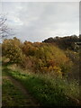 Path on chalk ridge in nature reserve