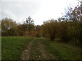 Path heading towards Grays Gorge