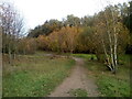 Path heading towards Grays Gorge