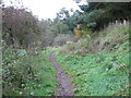 Footpath to New Lanark