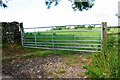 Field gateway on west side of Ingthorpe Lane