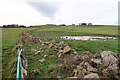 Wet farmland south of Clay Walls