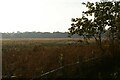 The Fens, from the old railway line