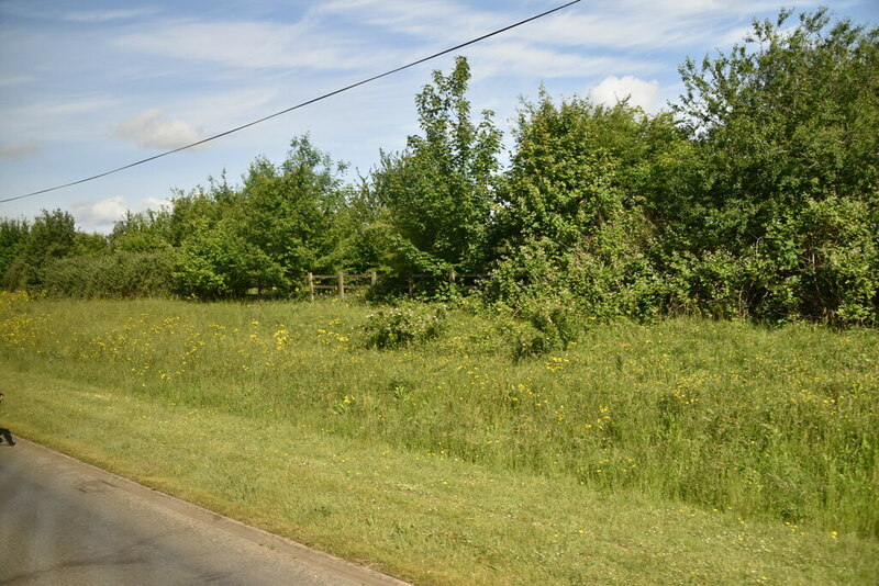 Grass Verge By A308 © N Chadwick :: Geograph Britain And Ireland