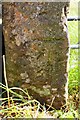 Benchmark on gatepost on south side of road under Great Pasture Hill