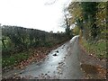 Water running down Fradswell Lane