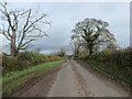 Lane heading north-east from Coton Hill