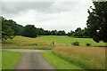 Track, Rudding Park Golf Course, Harrogate