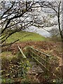 Wooden footbridge