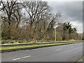 Main road from Glynneath to Banwen