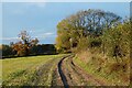 Track and farmland, Great Marlow