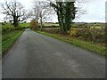 SO7931 : Country road near Eldersfield by Philip Halling