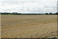 Harvested field near Moreton