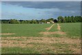 Farmland, St Mary Bourne