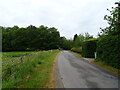 Road beside parkland, Well Vale