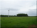 Grazing and wind turbine, Ulceby