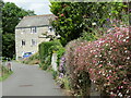 Lyme Regis - Higher Mill Flats