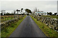 Dry stone walls along Kilmore Road, Bomackatall Upper