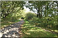 Footpath crossing The Cuckoo Trail