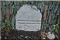 Old Boundary Marker on Saltash Road