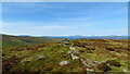 SJ0836 : Summit of Moel yr Henfaes, Berwyn Mountains by Colin Park